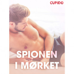 Spionen i mørket – erotiske noveller