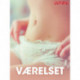 Værelset – erotiske noveller
