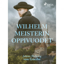Wilhelm Meisterin oppivuodet