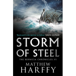 Storm of Steel