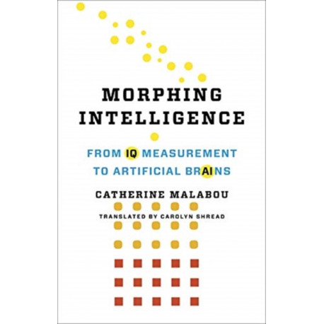 Morphing Intelligence: From IQ Measurement to Artificial Brains