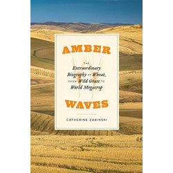 Amber Waves: The Extraordinary Biography of Wheat, from Wild Grass to World Megacrop