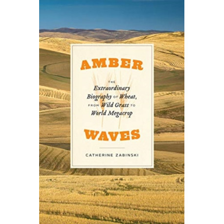 Amber Waves: The Extraordinary Biography of Wheat, from Wild Grass to World Megacrop