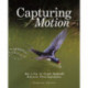 Capturing Motion: My Life in High Speed Nature Photography