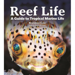 Reef Life: A Guide to Tropical Marine Life