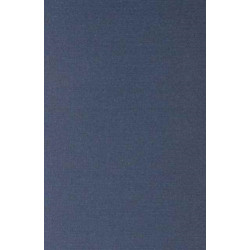 Saving the Mediterranean: The Politics of International Environmental Cooperation