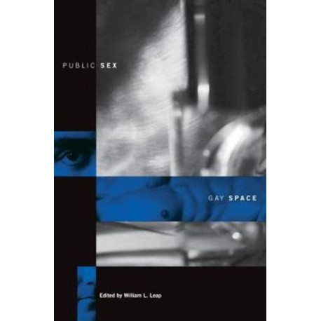 Public Sex/Gay Space