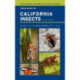 Field Guide to California Insects: Second Edition