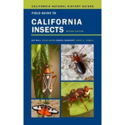Field Guide to California Insects: Second Edition