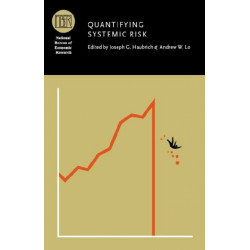 Quantifying Systemic Risk