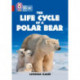 The Life Cycle of a Polar Bear: Band 14/Ruby