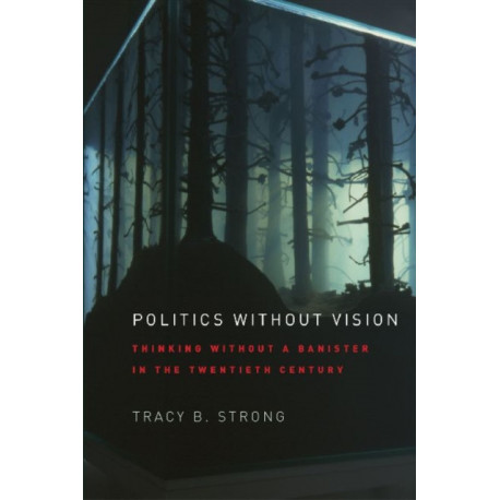 Politics without Vision: Thinking without a Banister in the Twentieth Century