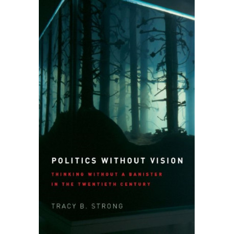 Politics without Vision: Thinking without a Banister in the Twentieth Century