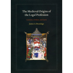 The Medieval Origins of the Legal Profession: Canonists, Civilians, and Courts