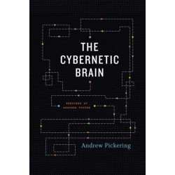 The Cybernetic Brain: Sketches of Another Future