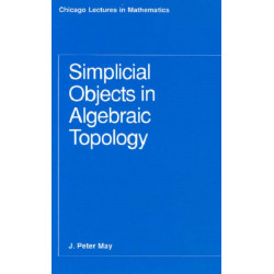 Simplicial Objects in Algebraic Topology