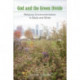 God and the Green Divide: Religious Environmentalism in Black and White