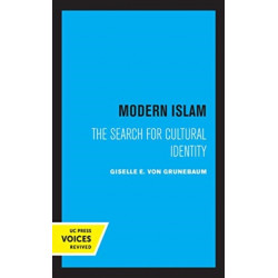 Modern Islam: The Search for Cultural Identity