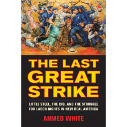 The Last Great Strike: Little Steel, the CIO, and the Struggle for Labor Rights in New Deal America