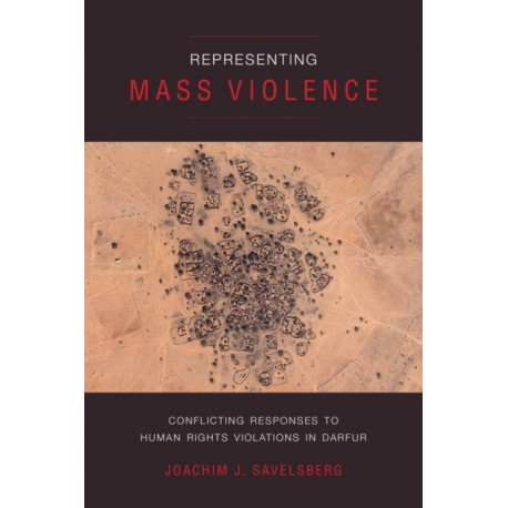 Representing Mass Violence: Conflicting Responses to Human Rights Violations in Darfur