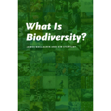 What Is Biodiversity?