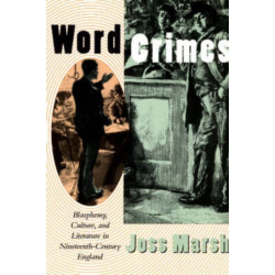 Word Crimes: Blasphemy, Culture, and Literature in Nineteenth-Century England