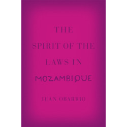 The Spirit of the Laws in Mozambique