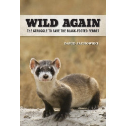 Wild Again: The Struggle to Save the Black-Footed Ferret