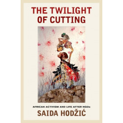 The Twilight of Cutting: African Activism and Life after NGOs