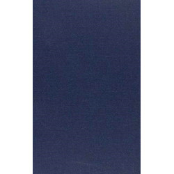 Anthropological Archaeology