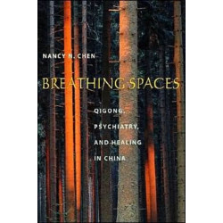 Breathing Spaces: Qigong, Psychiatry, and Healing in China