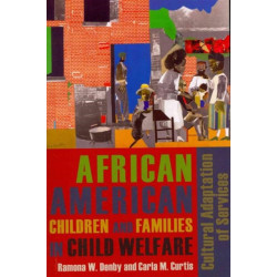 African American Children and Families in Child Welfare: Cultural Adaptation of Services