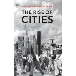 The Rise Of Cities: Modern Cities in Crisis