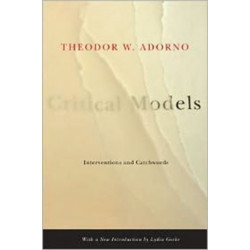 Critical Models: Interventions and Catchwords