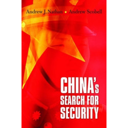 China’s Search for Security