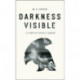 Darkness Visible: A Study of Vergil's "Aeneid"