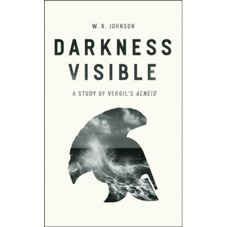 Darkness Visible: A Study of Vergil's "Aeneid"