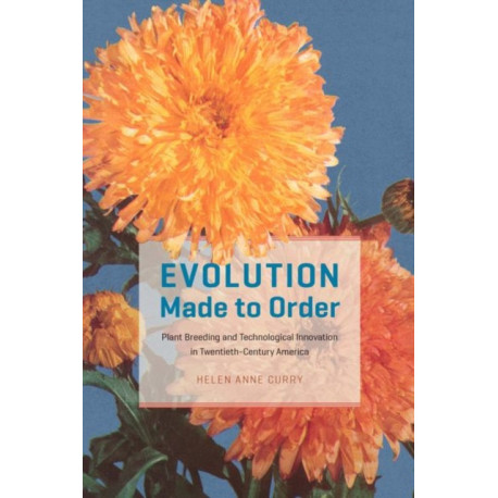 Evolution Made to Order: Plant Breeding and Technological Innovation in Twentieth-Century America