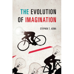 The Evolution of Imagination