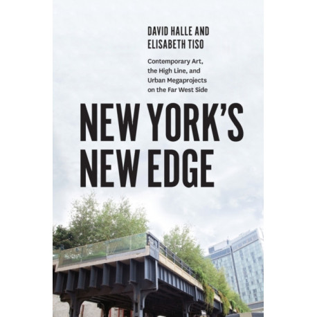 New York's New Edge: Contemporary Art, the High Line, and Urban Megaprojects on the Far West Side