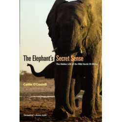 The Elephant`s Secret Sense – The Hidden Life of the Wild Herds of Africa: The Hidden Life of the Wild Herds of Africa
