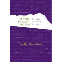 TRAVELS in a GAY NATION