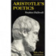 Aristotle`s Poetics