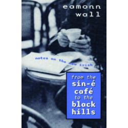 From the Sin-e Cafe to the Black Hills: Notes on the New Irish