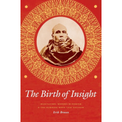 The Birth of Insight: Meditation, Modern Buddhism, and the Burmese Monk Ledi Sayadaw