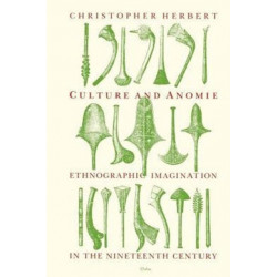 Culture and Anomie: Ethnographic Imagination in the Nineteenth Century