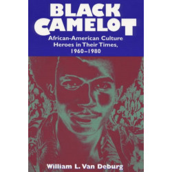 Black Camelot: African-American Culture Heroes in Their Times, 1960-1980