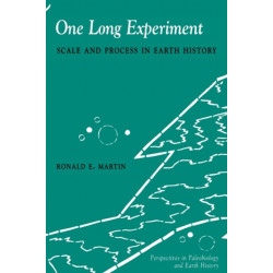 One Long Experiment: Scale and Process in Human History