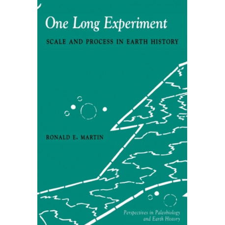 One Long Experiment: Scale and Process in Human History