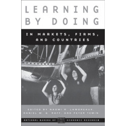 Learning by Doing in Markets, Firms, and Countries